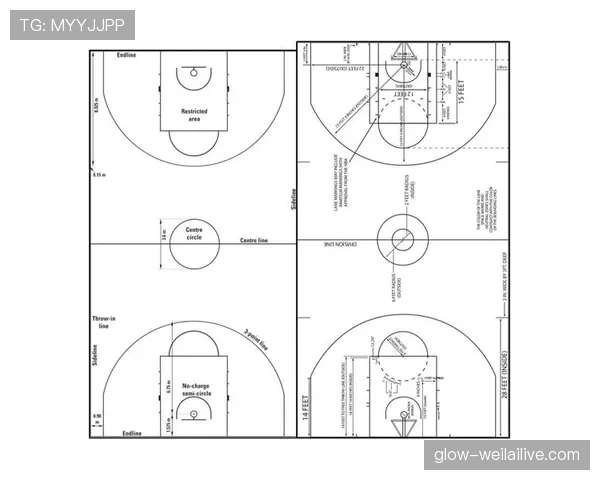 盘点篮球规则差异：FIBA和NBA规则区别详解