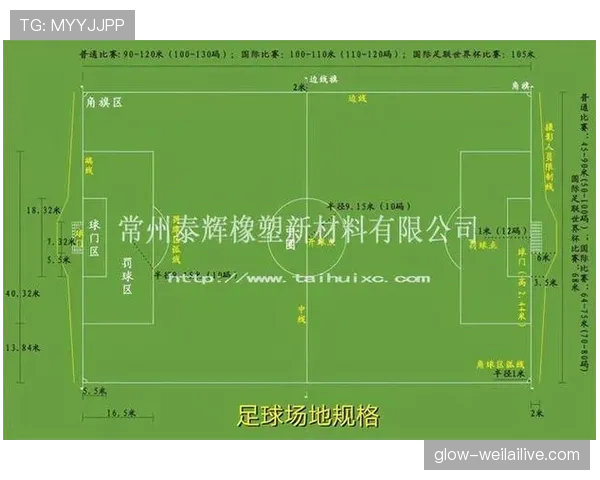 足球比赛中球场尺寸的标准规定及裁判判罚依据解析 足球比赛中球场尺寸的标准规定及裁判判罚依据解析