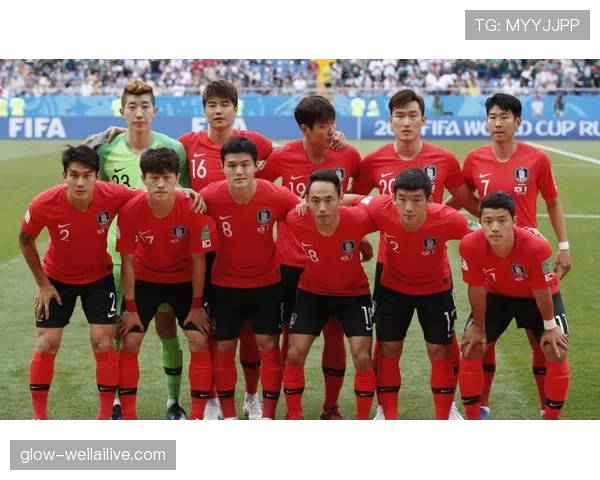韩国小组赛回顾:击败捷克后连续输给墨西哥和南非 韩国小组赛回顾:击败捷克后连续输给墨西哥和南非